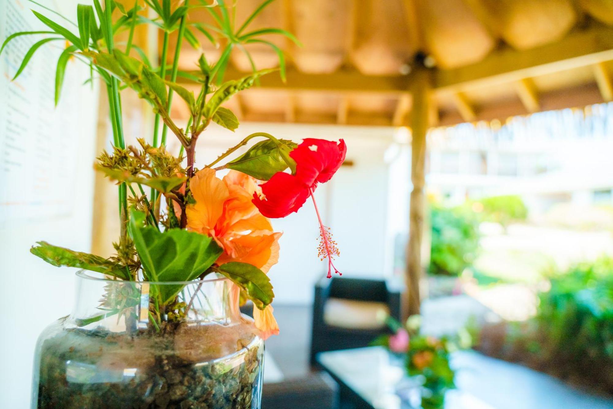 Matariki Sunset Apart Hotel Ханга Роа Екстериор снимка